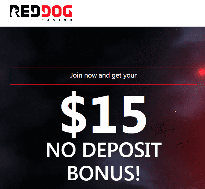 Red Dog Casino No Deposit Bonus Codes