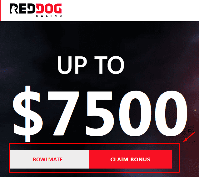 Red Dog Casino Bonus Codes